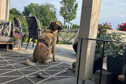 Wohnung Deggendorf - 4 Zimmer, 115 m&sup2;, 600&euro; | Angebot:24650692