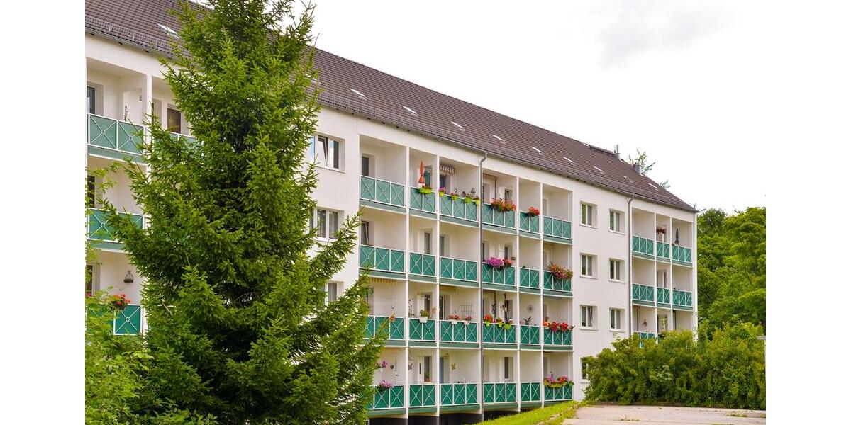 Etagenwohnung Reichenbach im Vogtland - 2 Zimmer, 51 m&sup2;, 350&euro; | Angebot:26008284