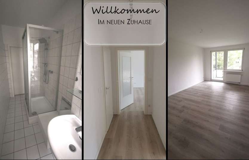 Wohnung zum Mieten in Chemnitz 370 € 61.27 m² 3 zimmer