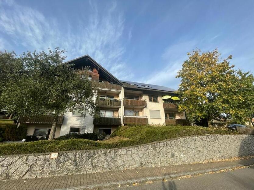 Renovierte 2-Zimmer-Wohnung mit Einbauküche und Balkon