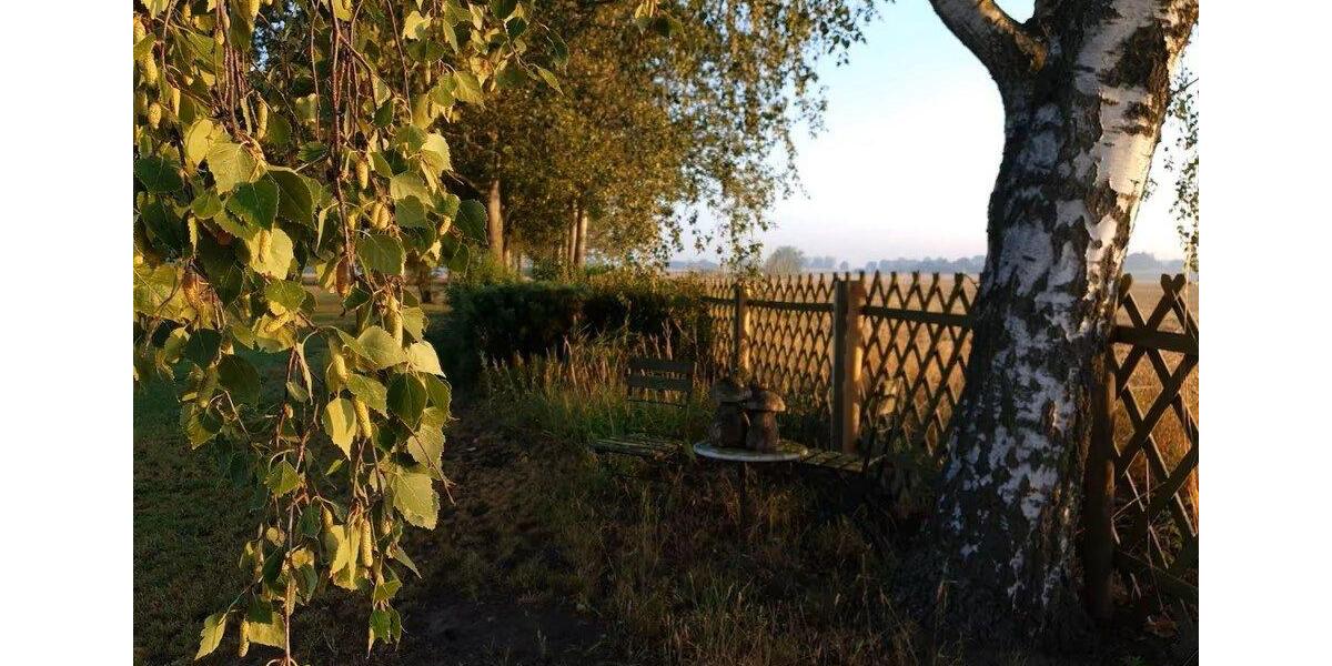 Maisonettenwohnung Penzlin - 4 Zimmer, 132 m&sup2;, 1.200&euro; | Angebot:26610911