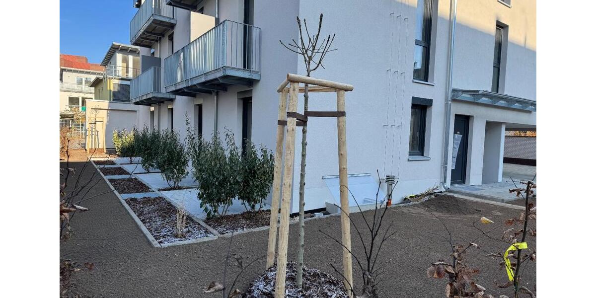 1 Zimmer Apartment, voll möbliert und ausgestattet 1 zimmer