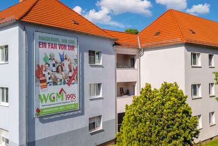 Wohnung Magdeburg Stadtfeld Ost - 3 Zimmer, 57 m&sup2;, 401&euro; | Angebot:26729627