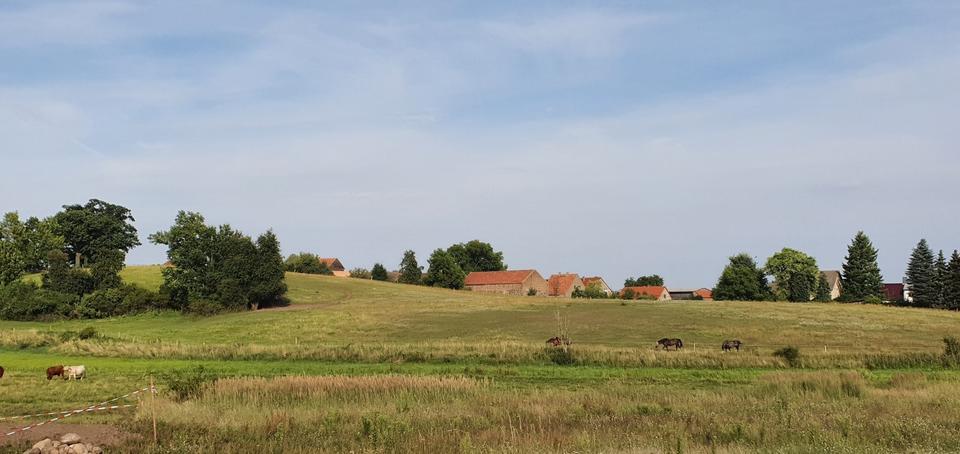 Bungalow Joachimsthal - 4 Zimmer, 142 m&sup2;, 1.250&euro; | Angebot:25539678