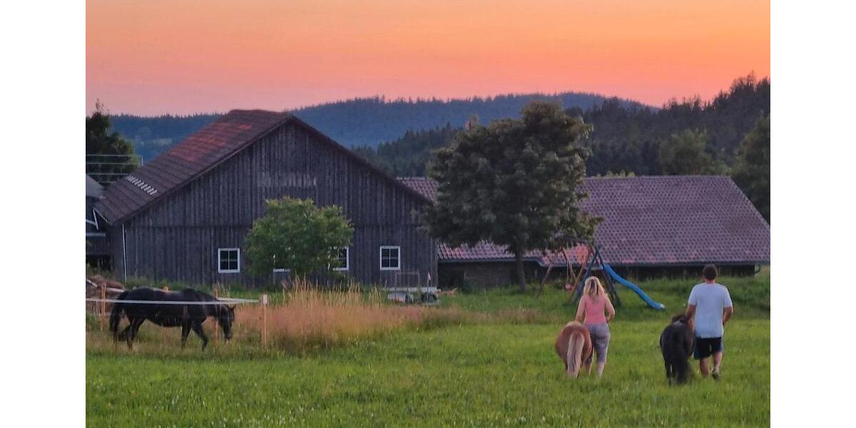 WG Zimmer auf Bauernhof in Alleinlage 1 zimmer
