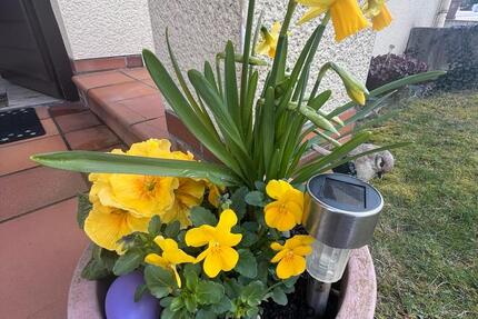 Wohnen auf Zeit Ahnatal - 2 Zimmer, 60 m&sup2;, 945&euro; | Angebot:25975985