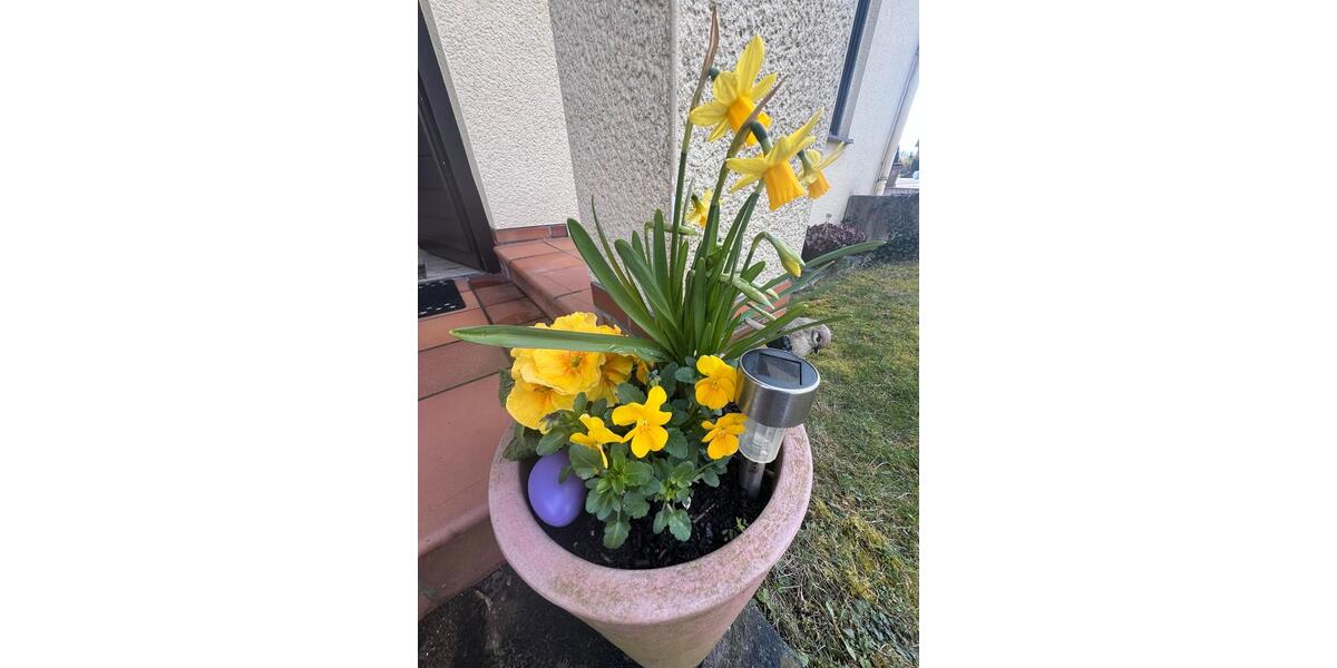 Wohnen auf Zeit Ahnatal - 2 Zimmer, 60 m&sup2;, 945&euro; | Angebot:25975985