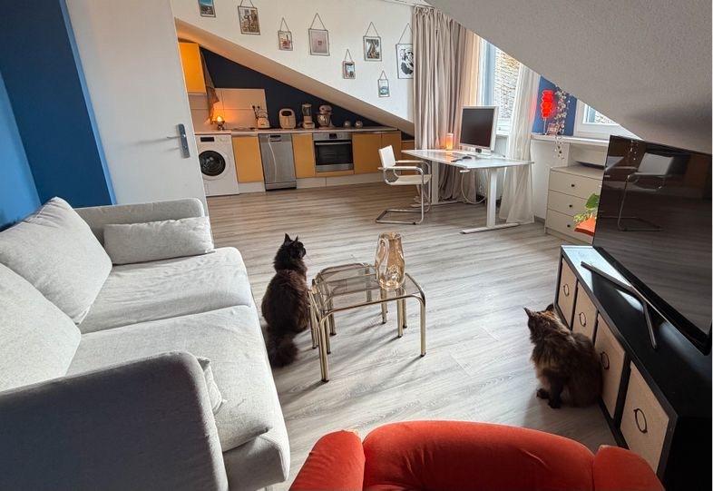 Dachgeschoßwohnung Mainz - 2 Zimmer, 45 m&sup2;, 990&euro; | Angebot:25724893