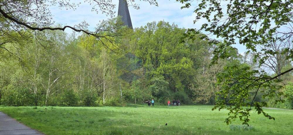 Etagenwohnung Wolfsburg Hohenstein - 3 Zimmer, 53 m&sup2;, 435&euro; | Angebot:25193405