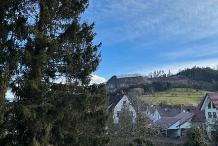 Gewerbeobjekt Steinach - 890&euro; | Angebot:12437942