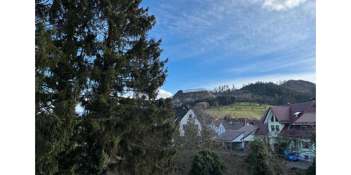 Gewerbeobjekt Steinach - 890&euro; | Angebot:12437942