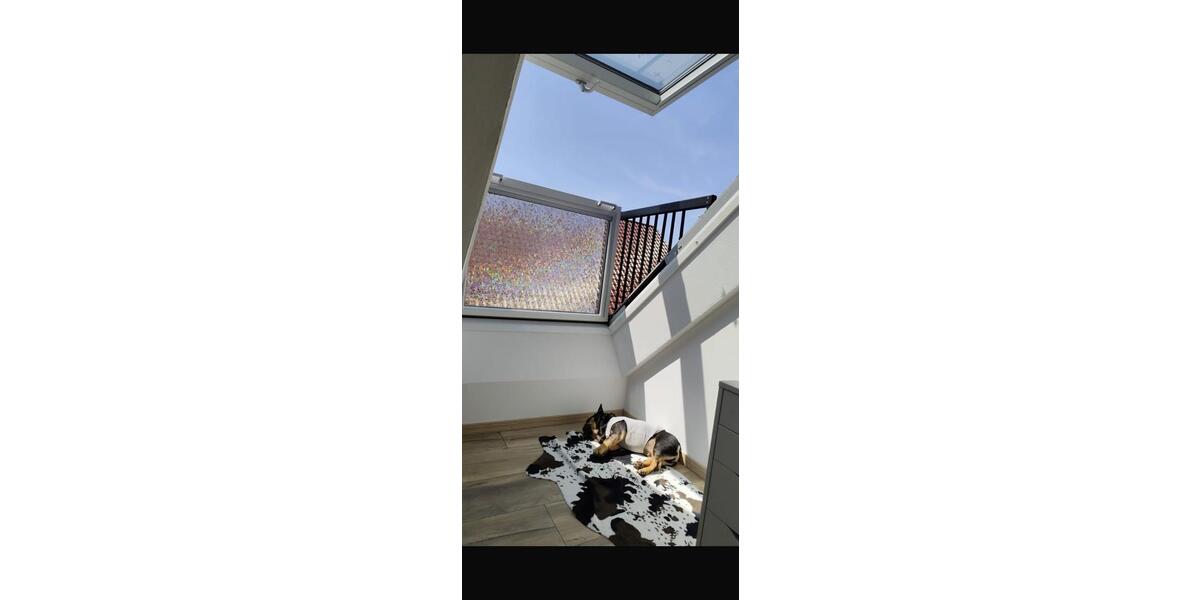 Etagenwohnung Westerholt - 2 Zimmer, 79 m&sup2;, 650&euro; | Angebot:26463819