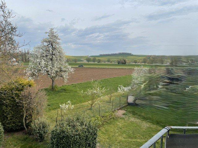 Erdgeschoßwohnung Mendig - 5 Zimmer, 94 m&sup2;, 799&euro; | Angebot:26237362