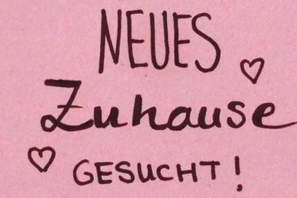 Wohnung Breitengüßbach - 1 Zimmer, 30 m&sup2;, 123&euro; | Angebot:25978833