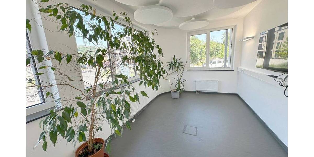 Gewerbeobjekt Trier Trier-West - 1 Zimmer, 300 m&sup2;, 4.500&euro; | Angebot:26787579