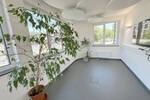 Gewerbeobjekt Trier Trier-West-Pallien - 1 Zimmer, 300 m&sup2;, 4.500&euro; | Angebot:26787579