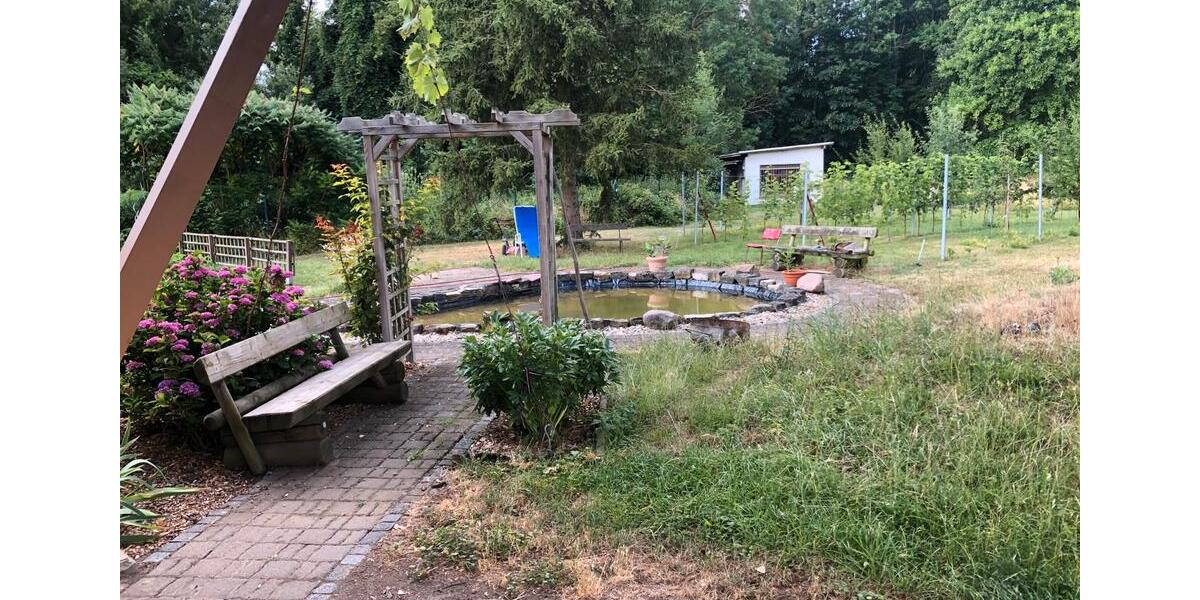 Wohnen auf Zeit Falkenstein/Harz Harz - 2 Zimmer, 45 m&sup2;, 60&euro; | Angebot:24631202