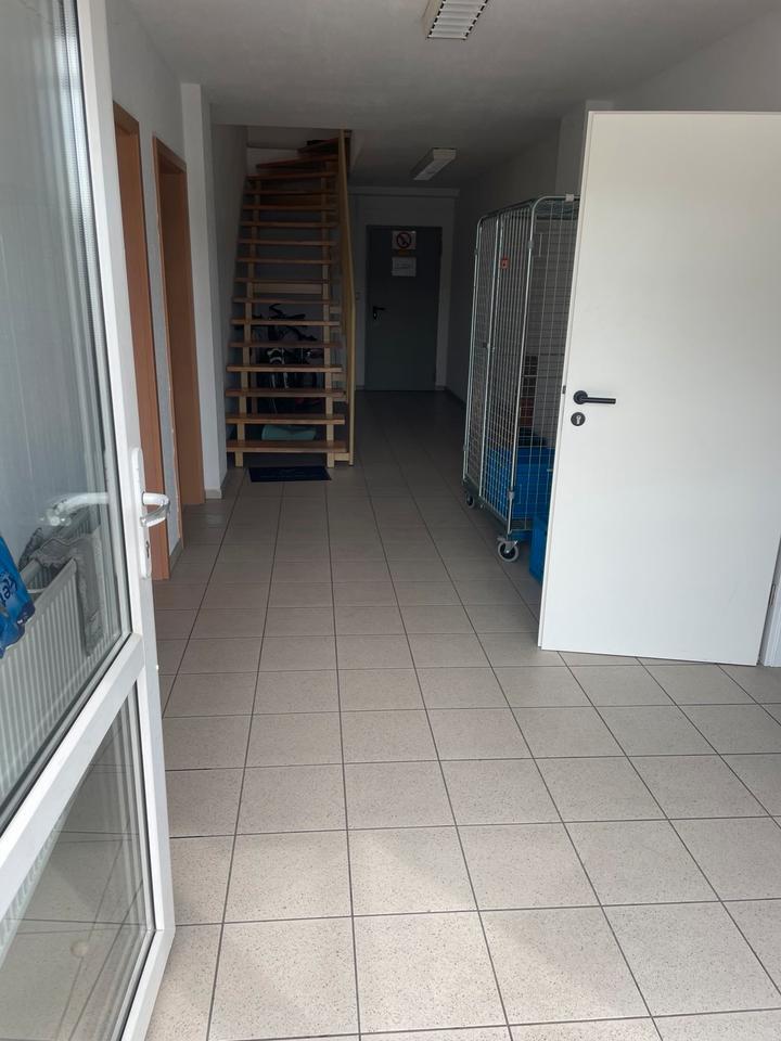 BüroHallenfläche zu Vermieten