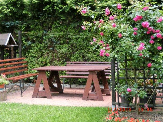 Dachgeschoßwohnung Altenburg - 2 Zimmer, 60 m&sup2;, 400&euro; | Angebot:25993598