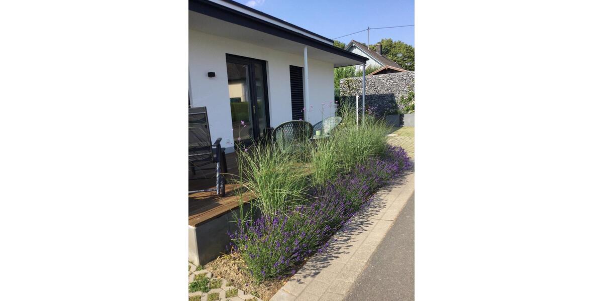 Erdgeschoßwohnung Morbach - 1 Zimmer, 50 m&sup2;, 650&euro; | Angebot:26576168