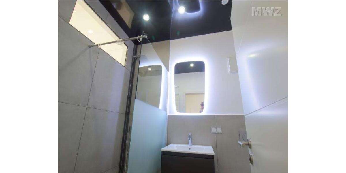 Wohnen auf Zeit in Heidelberg 1.240 € 2 zimmer