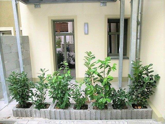 Etagenwohnung Bischofswerda Belmsdorf - 2 Zimmer, 55 m&sup2;, 414&euro; | Angebot:25958897