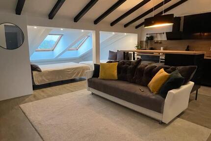 Moderne Dachgeschoss-Loftwohnung – ideal als Übergangswohnung 1 zimmer