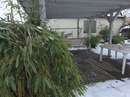 3-Zimmer-Mietwohnung mit Stellplatz und Garage sowie Garten mit Freisitz und Teich sowie Wasserlauf in 97456 Sennfeld (1592) - Erdgeschoßwohnung Sennfeld Sennfeld | Angebot:25521331