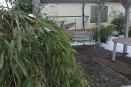 3-Zimmer-Mietwohnung mit Stellplatz und Garage sowie Garten mit Freisitz und Teich sowie Wasserlauf in 97456 Sennfeld (1592) - Wohnung Sennfeld Sennfeld | Angebot:25521331