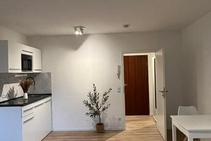 Apartment EBK Terrasse TG frisch renoviert & möbliert ab sofort 1 zimmer