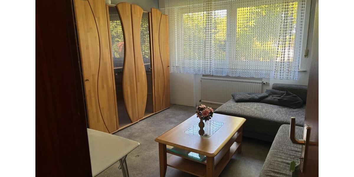 Erdgeschoßwohnung Reichshof - 2 Zimmer, 50 m&sup2;, 450&euro; | Angebot:26706039