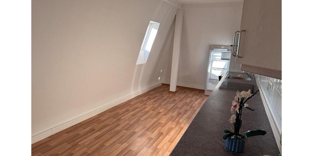 Dachgeschoßwohnung Meerane - 2 Zimmer, 65 m&sup2;, 359&euro; | Angebot:23628966