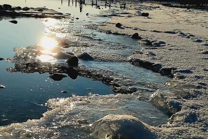 Wohnung Seefeld - 1 Zimmer, 35 m&sup2;, 800&euro; | Angebot:24611912