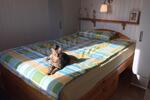 Einfamilienhaus Hohenfelde - 3 Zimmer, 50 m&sup2;, 890&euro; | Angebot:26305699