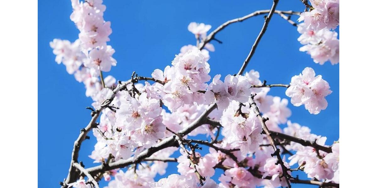 Etagenwohnung Oberkirch - 3 Zimmer, 91 m&sup2;, 683&euro; | Angebot:24788684