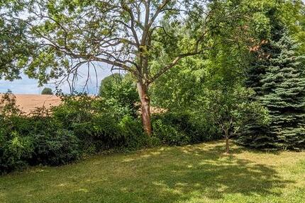 2 Raumwohnung mit Balkon in grüner Lage zimmer