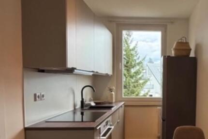 Wohnen auf Zeit Nürnberg Schnepfenreuth - 1 Zimmer, 15 m&sup2;, 590&euro; | Angebot:25394013