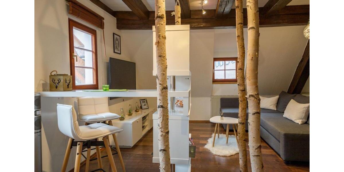 Wohnen auf Zeit Rottweil - 2 Zimmer, 55 m&sup2;, 1.050&euro; | Angebot:26219732