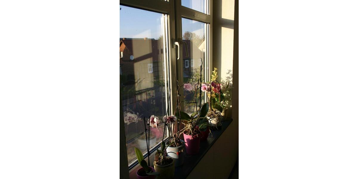 Etagenwohnung Diesdorf - 3 Zimmer, 65 m&sup2;, 300&euro; | Angebot:24655554