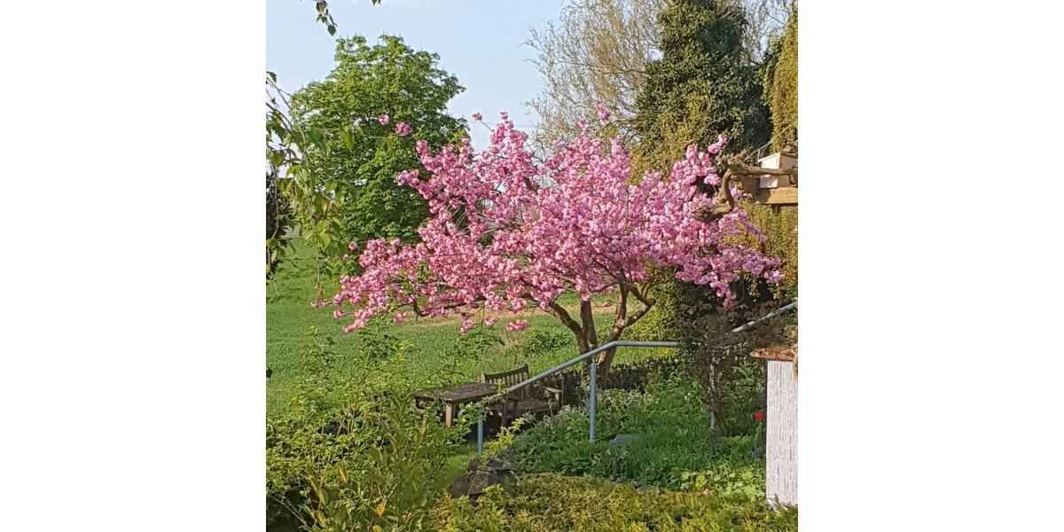 Einfamilienhaus Eppstein - 8 Zimmer, 220 m&sup2;, 2.990&euro; | Angebot:26441688
