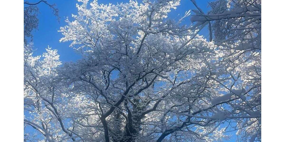 Wohnung zum Mieten in Henstedt-Ulzburg 2.400 € 197 m² 6 zimmer