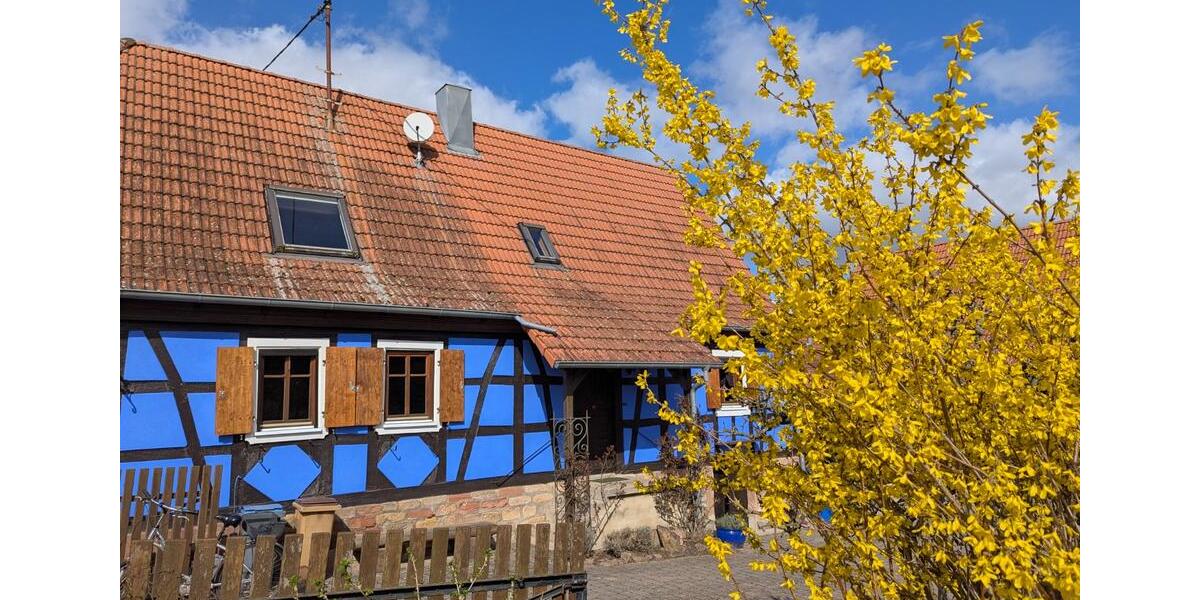 Wohnen auf Zeit Wörth am Rhein - 1 Zimmer, 18 m&sup2;, 45&euro; | Angebot:25616564