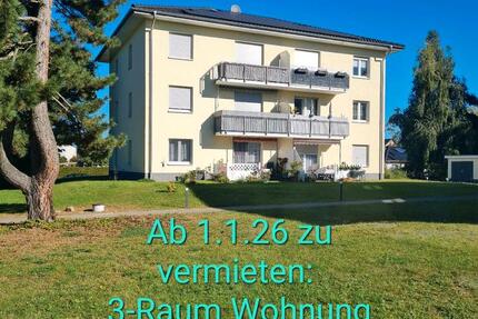 3-Raum-Wohnung Wandlitz OT Klosterfelde incl. Stellplatz zimmer