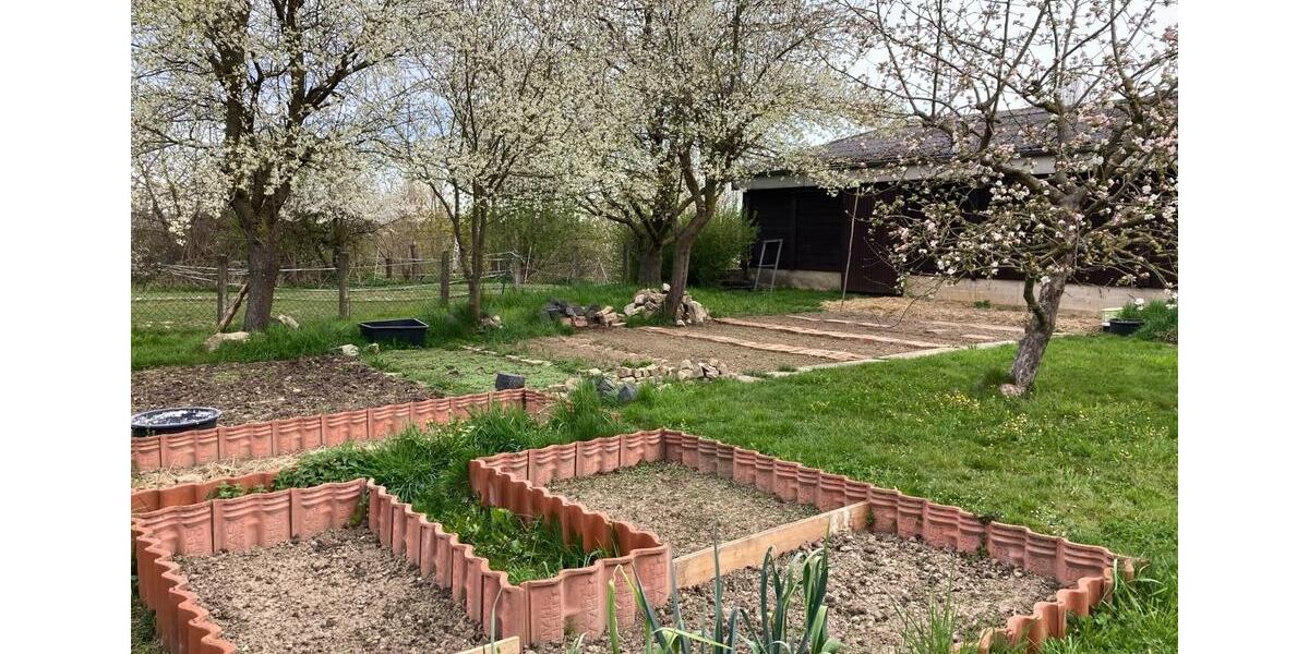 Wohnen auf Zeit Bad Münder am Deister - 1 Zimmer, 32 m&sup2;, 500&euro; | Angebot:25378824