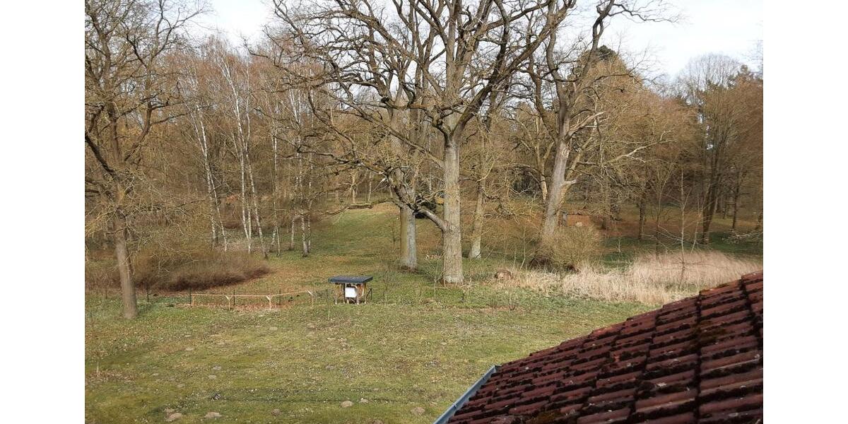 Etagenwohnung Goldberg - 5 Zimmer, 91 m&sup2;, 510&euro; | Angebot:26030802