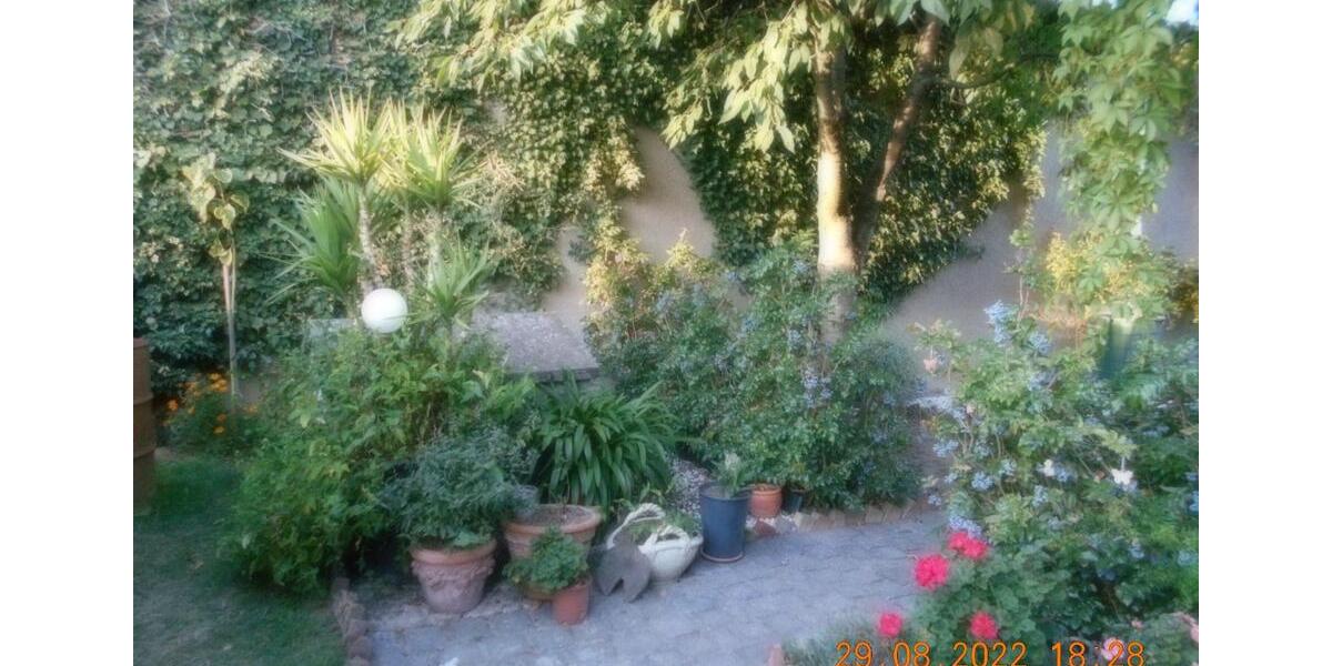 Dachgeschoßwohnung Ballenstedt - 2 Zimmer, 60 m&sup2;, 55&euro; | Angebot:18964502