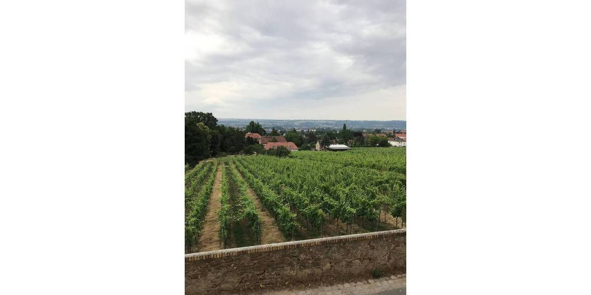 Etagenwohnung Radebeul Oberlößnitz - 3 Zimmer, 151 m&sup2;, 1.850&euro; | Angebot:25668402