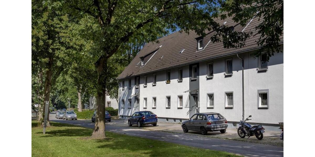 Erdgeschoßwohnung Gelsenkirchen Resse - 3 Zimmer, 47 m&sup2;, 379&euro; | Angebot:25131696