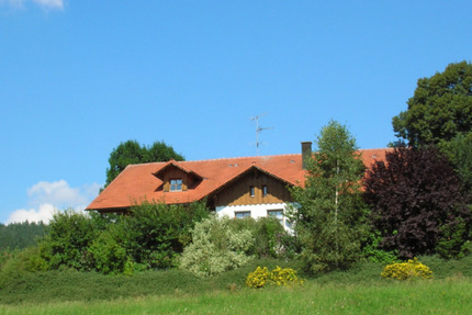 Wohnung Zwiesel - 2 Zimmer, 67 m&sup2;, 525&euro; | Angebot:25171592