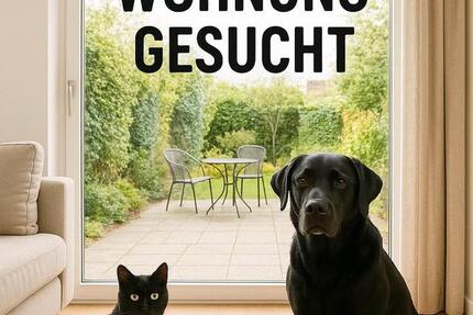 Dringend eine Mietwohnung 1 zimmer